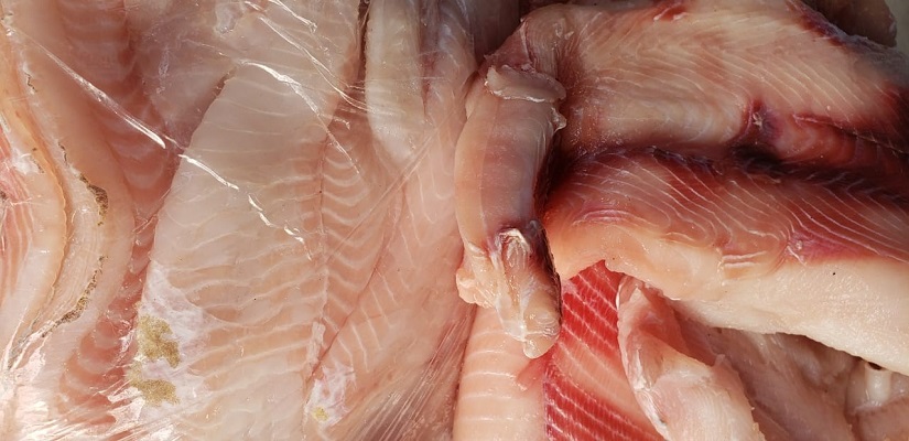 PESCA